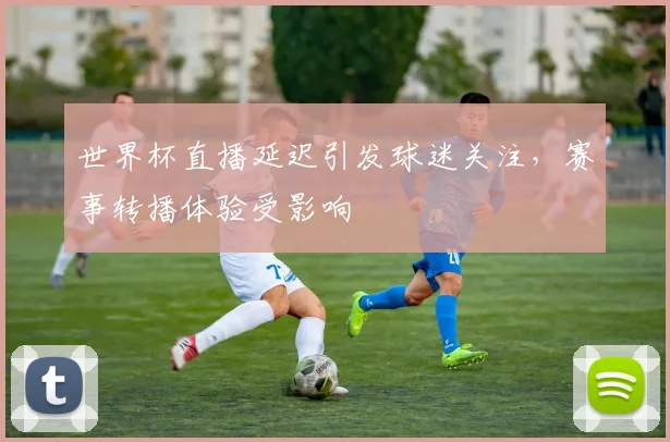 世界杯直播延迟引发球迷关注,赛事转播体验受影响