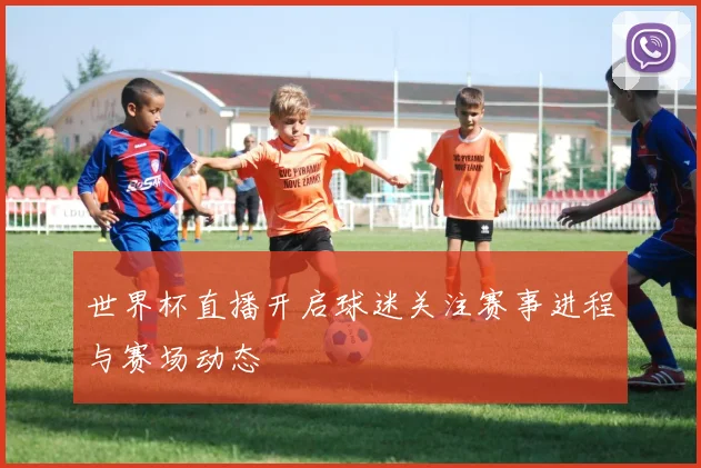 世界杯直播开启球迷关注赛事进程与赛场动态